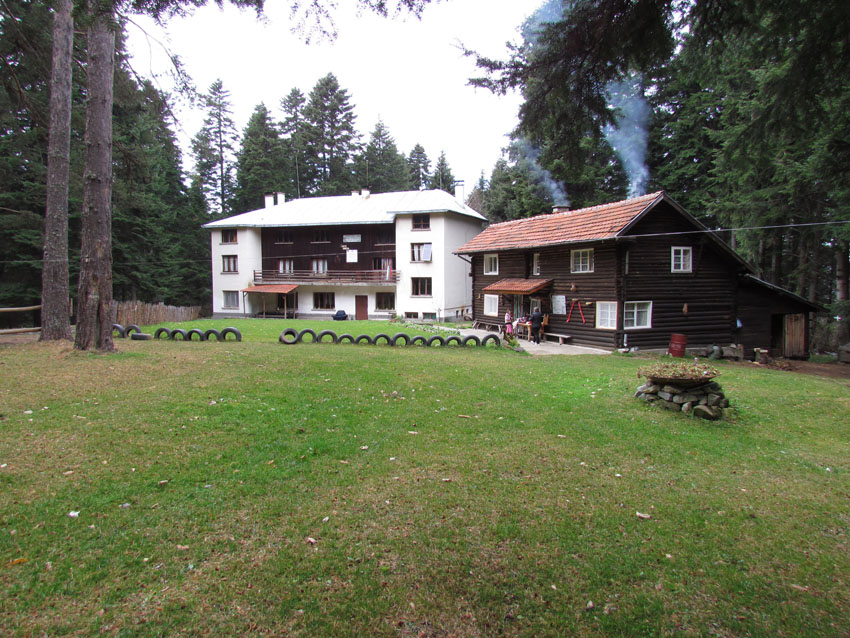 Picture_2 005
